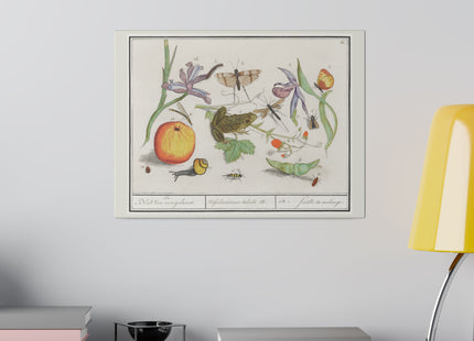 Natural History Ensemble, No. 12 by Anselmus Boëtius de Boodt Matte Canvas, Stretched, 0.75"