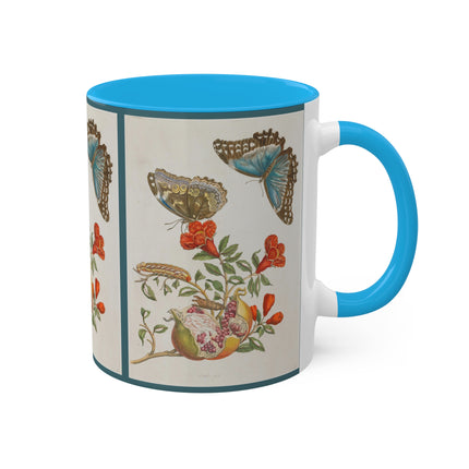 Blue Butterflies and Pomegranate by Maria Sibylla Merian Colorful Mugs, 11oz