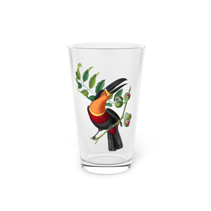 Channel Billed Toucan by Paul Gervais Glass, 16oz