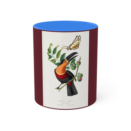 Channel Billed Toucan by Paul Gervais Colorful Mugs, 11oz