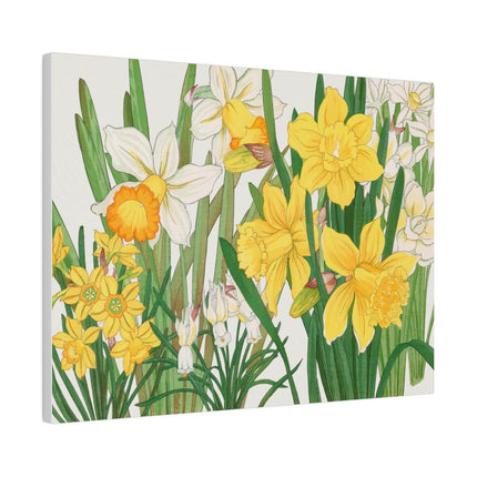 Golden Daffodils by Tanigami Kônan – Japanese Botanical Grace