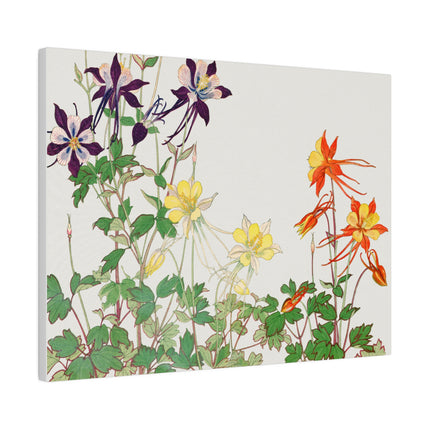 Aquilegia Flower by Tanigami Kônan – Japanese Botanical Art