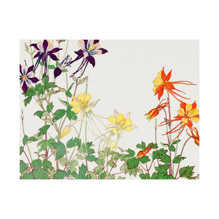 Aquilegia Flower by Tanigami Kônan Premium Matte horizontal posters