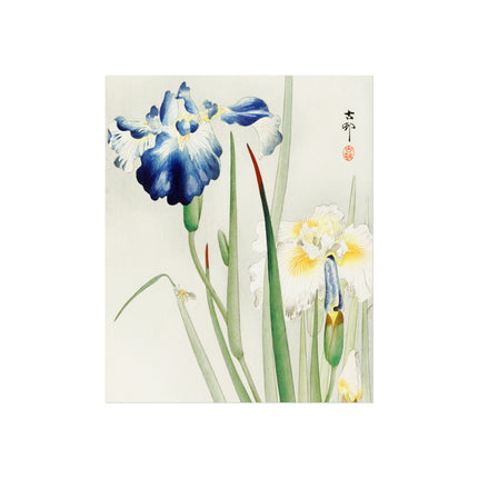 Irises by Ohara Koson Fine Art Posters