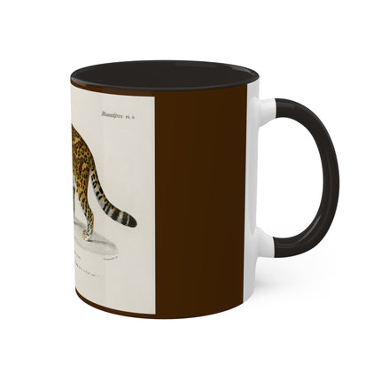 Jaguar by Charles Dessalines D' Orbigny Colorful Mugs, 11oz