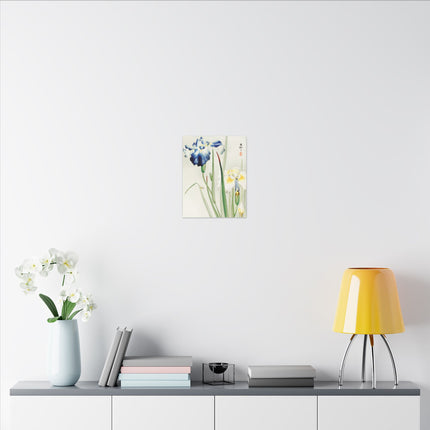 Irises in Bloom by Ohara Koson – Japanese Elegance