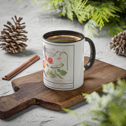 Natural History Ensemble, No. 7 by Anselmus Boëtius de Boodt Colorful Mugs, 11oz