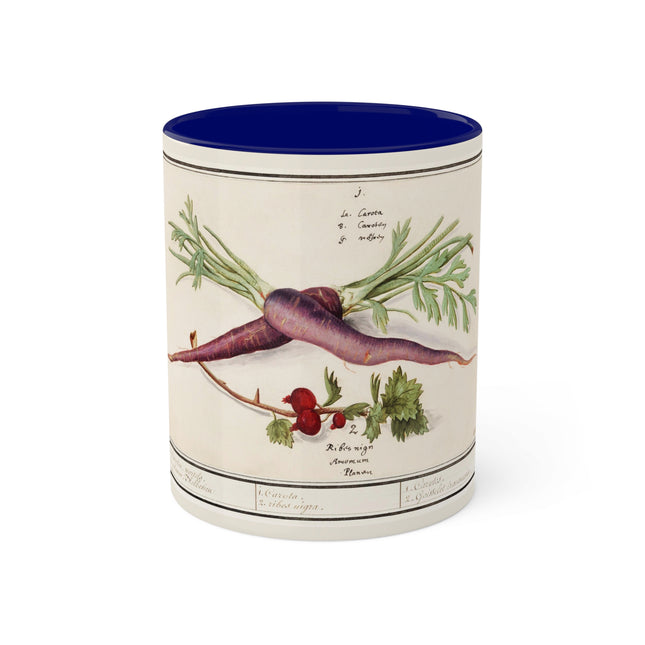 Carrot, Daucus Carota and Red currant, Ribes rubrum by Anselmus Boëtius de Boodt Colorful Mugs, 11oz