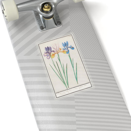 Iris, Iris sibirica by Anselmus Boëtius de Boodt Kiss-Cut Stickers (4 Sizes)