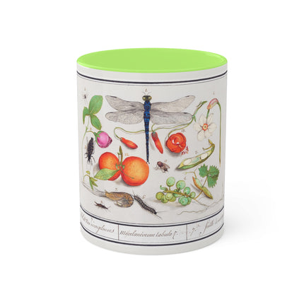 Natural History Ensemble, No. 7 by Anselmus Boëtius de Boodt Colorful Mugs, 11oz