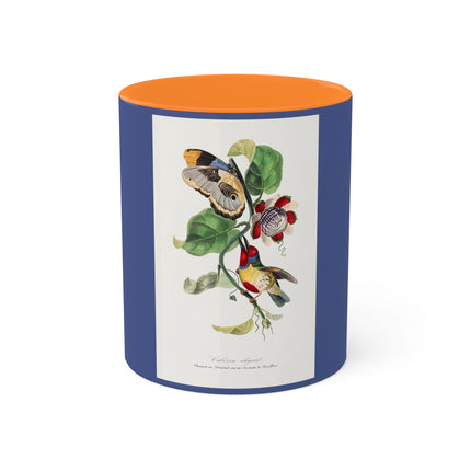 Versicolored Barbet by Paul Gervais Colorful Mugs, 11oz