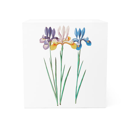 Iris, Iris sibirica by Anselmus Boëtius de Boodt Note Cube