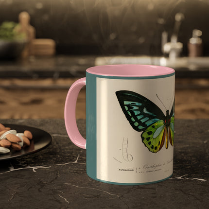 Green Birdwing by Charles Dessalines D' Orbigny Colorful Mugs, 11oz