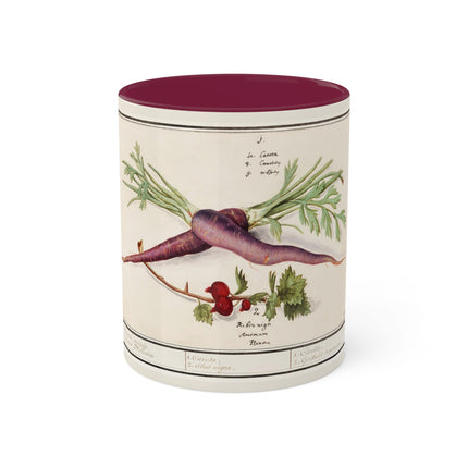 Carrot, Daucus Carota and Red currant, Ribes rubrum by Anselmus Boëtius de Boodt Colorful Mugs, 11oz