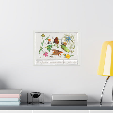 Natural History Ensemble, no. 3 by Anselmus Boëtius de Boodt Matte Horizontal Posters