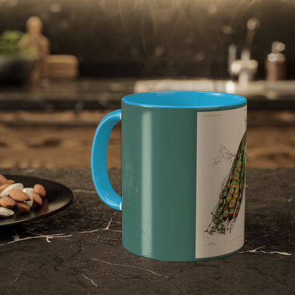 Indian Peafowl by Charles Dessalines D' Orbigny Colorful Mugs, 11oz