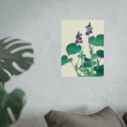 Blooming Hosta by Ohara Koson Fine Art Posters