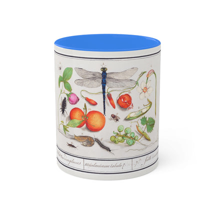 Natural History Ensemble, No. 7 by Anselmus Boëtius de Boodt Colorful Mugs, 11oz