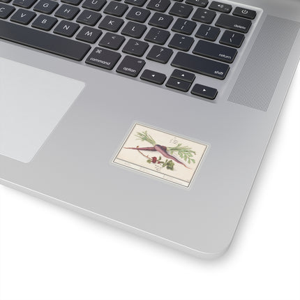 Carrot, Daucus carota and red currant, Ribes rubrum by Anselmus Boëtius de Boodt Kiss-Cut Stickers (4 Sizes)