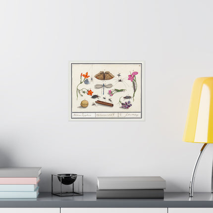 Natural History Ensemble, No. 8 by Anselmus Boëtius de Boodt Matte Horizontal Posters