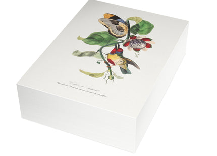 Versicolored Barbet by Paul Gervais Postcards (envelopes included) - Bundles of 10, 30, 50 Pieces