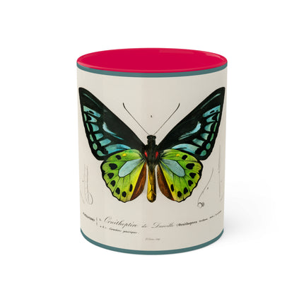 Green Birdwing by Charles Dessalines D' Orbigny Colorful Mugs, 11oz