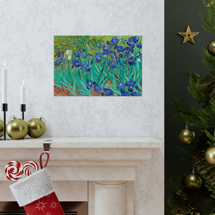 Irises by Vincent Van Gogh Matte Horizontal Posters
