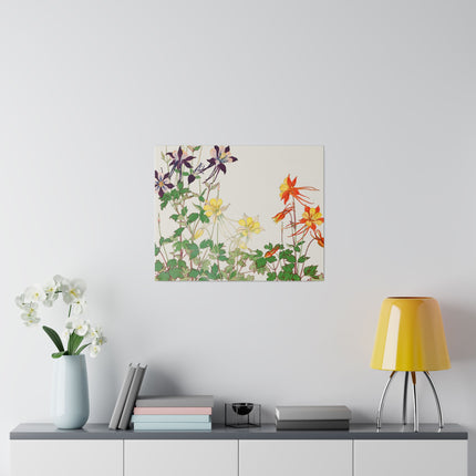 Aquilegia Flower by Tanigami Kônan – Japanese Botanical Art
