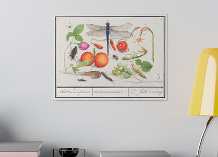 Natural History Ensemble, No. 7 by Anselmus Boëtius de Boodt Matte Matte Canvas, Stretched, 0.75"