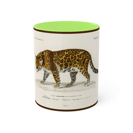 Jaguar by Charles Dessalines D' Orbigny Colorful Mugs, 11oz