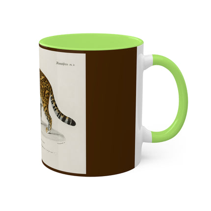 Jaguar by Charles Dessalines D' Orbigny Colorful Mugs, 11oz