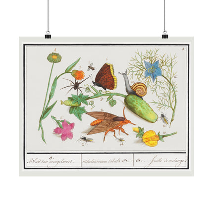 Natural History Ensemble, no. 3 by Anselmus Boëtius de Boodt Matte Horizontal Posters