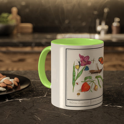 Natural History Ensemble, No. 17 by Anselmus Boëtius de Boodt Colorful Mugs, 11oz