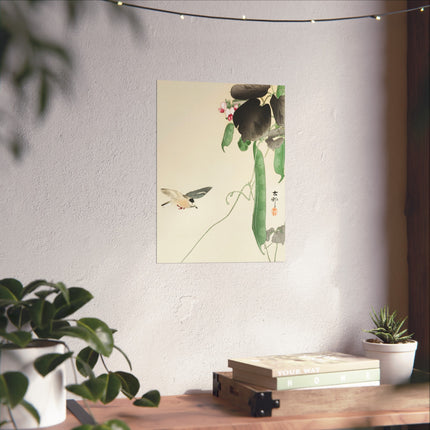 Bird at Flowering Bean Plant by Ohara Koson Fine Art Posters