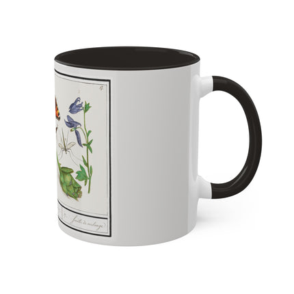 Natural History Ensemble, No. 17 by Anselmus Boëtius de Boodt Colorful Mugs, 11oz