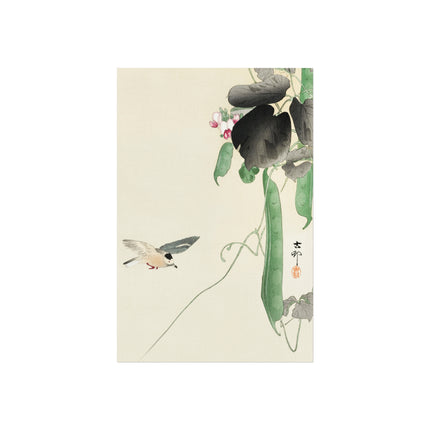 Bird at Flowering Bean Plant by Ohara Koson Fine Art Posters