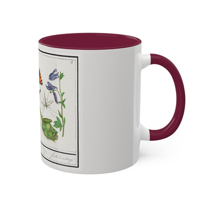 Natural History Ensemble, No. 17 by Anselmus Boëtius de Boodt Colorful Mugs, 11oz