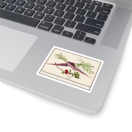 Carrot, Daucus carota and red currant, Ribes rubrum by Anselmus Boëtius de Boodt Kiss-Cut Stickers (4 Sizes)
