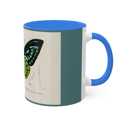 Green Birdwing by Charles Dessalines D' Orbigny Colorful Mugs, 11oz