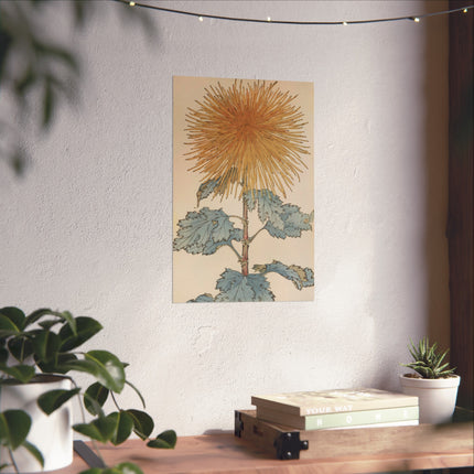 Chrysanthemum Harmony Fine Art Poster