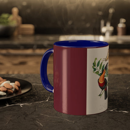 Channel Billed Toucan by Paul Gervais Colorful Mugs, 11oz