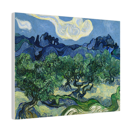 Olive Trees by Vincent Van Gogh Matte Canvas, Stretched, 0.75"
