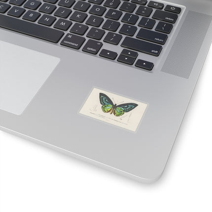 Green Birdwing by Charles Dessalines D' Orbigny Kiss-Cut Stickers (4 Sizes)