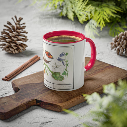 Natural History Ensemble, No. 17 by Anselmus Boëtius de Boodt Colorful Mugs, 11oz
