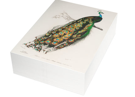 Indian Peafowl by Charles Dessalines D'Orbigny Postcards (envelopes included) - Bundles of 10, 30, 50 Pieces