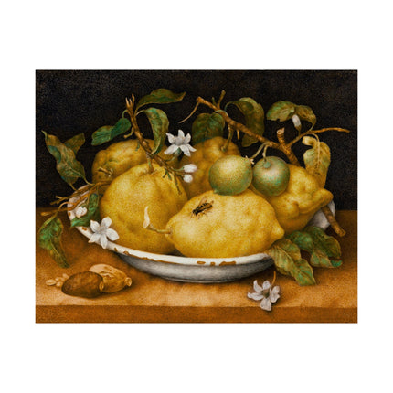 Still Life with Bowl of Citrons by Giovanna Garzoni Matte Horizontal Posters