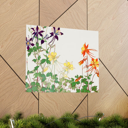 Aquilegia Flower by Tanigami Kônan Premium Matte horizontal posters