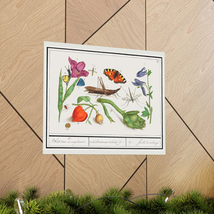 Natural History Ensemble, No. 17 by Anselmus Boëtius de Boodt Matte Horizontal Posters