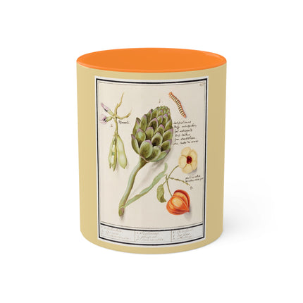 Artichoke, Broad Beans, and Lantern Plant by Anselmus Boëtius de Boodt Colorful Mugs, 11oz