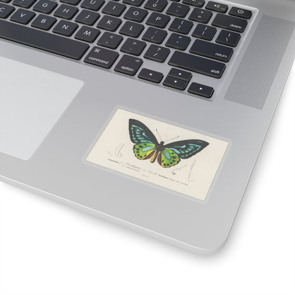 Green Birdwing by Charles Dessalines D' Orbigny Kiss-Cut Stickers (4 Sizes)